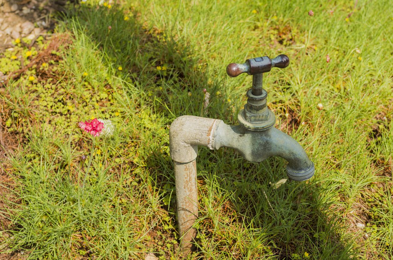 Prevent These Plumbing Problems This Spring