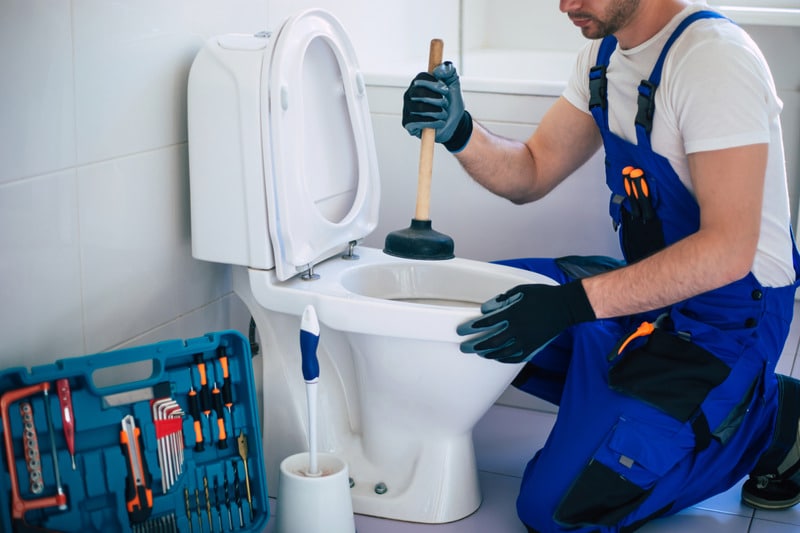 Top 5 Signs You Need Professional Toilet Repair in Monroe
