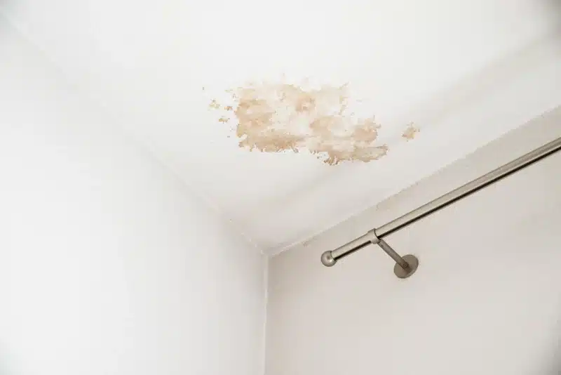 How to Tell If You Have a Water Leak in Your Ruston Home